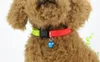 Rainbow Dog Cat Bell Collar Verstelbare Outdoor Comfortabele Nylon Pet Collars voor Kleine Honden Puppies Pet leverancier