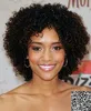 Kort kinky Curly Bob Style Brasilianska Virgin Hair Lace Front Wig Gluveless Kort Full Lace Human Hair African American Wigs
