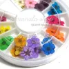 8pcs/Set Nails Aufkleber Rad 12 Farbe echte trocken getrocknete Blume für 3D -UV -Gel Acryl False Tipps Nagelkunst Salon