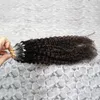 Capelli vergini brasiliani Micro Loop Capelli per capelli umani 100g Kinky Curly Micro Loop Capelli Extension Micro anelli