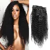 Naturfärg Obehandlat Brasiliansk Kinky Curly Hair 100g 7st Afro Kinky Clip In Extensions Natural Color