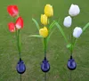 Solar Simulation Ground Lamp LED Gazon Lamp Outdoor Tulip Flower Garden Courtyard Creatieve Plastic Lights Decoratief