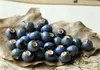 BoYuTe 100 Pieces Lot 9 Colors Round 8MM Glaze Ceramic Diy Beads Jewelry Making Fashion Beads249I