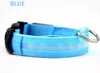 LED Nylon Pet Dog Collar Night Bezpieczeństwo Bezpieczeństwo Glow Flashing Dog Cat Collar LED Luminous Small Dogs Collars USB Akumulator 10szt