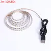 5 V DC 300 LED 5M 3528 SMD RGB LED String Super jasny pasek LED z pudełko detalicznego nie-wodoodporna również na sprzedaż