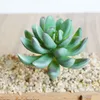 Artificial Succulents Mixed Multi Colors Plants Home Table Office Balcony Wedding Birthday halloween Party Christmas Festival Table Decor