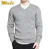 Spring Mens Sweater Pullovers Enkel stil Bomull Stickad V Neck Sweater Jumpers Tunn Man Knitwear Blue Red Black M-4XL