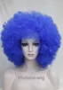 beautiful charming Fashion 11 colors Afro wig fluffy Cosplay Anime Carnival party Wigs Hivision 60182156289