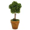 Wholesale-Artificial Garden Grass Wedding Arrangement Buxus Star Bird Balls Boxwood Topiary Landscape Fake Trees Pots Plants