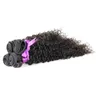 ブラジルの髪の織り4pcs変態カーリーバージンヘア自然の黒いブラジルのバージンヘア4束、無し、もつれ