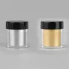 1 Kutu 10 G Ayna Glitter Nail Art Pigment Pırıltılar Krom Manikür Altın / Gümüş Nail Art DIY Süslemeleri Fırçası ile
