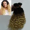 Blonde Haarwebart Bundles Ombre 1 Bündel Non-Remy 200g 1b/613 brasilianisches verworrenes lockiges reines Haar Doppelschuss