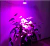 LED植物は屋内フラワー水耕栽培システムのための光5W E27ランプの赤/青