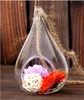 Nieuwe Aankomst Water Tear Drop Glas Opknoping Planter Container Vaas Pot Terrarium Decoratie