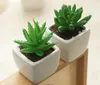 Artificial lovely small potted succulents Decoration modern minimalist home office desktop decorative bonsai
