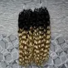 Cheveux bouclés profonds brésiliens micro boucle 1g bouclés ombre micro lien extensions de cheveux humains T1b / 613 200g 1g / s 200s extensions de cheveux humains micro perles