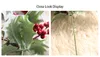 22cm/8.6inch height Artificial Berry flower Craft Simulation Fake Flowers for Bedding Sets wedding chamber table dedcoration and supplies