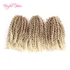 Malibob synthetic hair extension ombre Braids hair 8" 3Pcs/set 90g 1B 27crochet braids Twist for black women Kinky Curly marlybob Hair