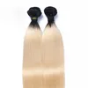 8A Ombre 613 Brazilian Virgin Hair 3 Bundles Straight Platinum Blonde Dark Roots Ombre Human Hair Extension Whole Remy H4503243