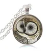 Collier Hibou Blanc Bijoux Oeil Vert Verre Cabochon Temps Gem Pendentif Oiseau Photo Pull Collier Femmes Hommes Bijoux De Mode