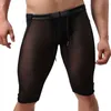 Men's Shorts Men's Wholesale-Sexy Mens Brand Brave Person See Through Men Gay Penis Pouch Trunks Sheer Low Waist Designed1