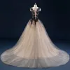 Gothic Champagne and Black Ball Gown Wedding Dresses Sheer Neck Sleeveless Lace Appliques Tulle Corset Bridal Gowns with Court Tra9260296