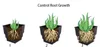 50 sztuk MOQ Hurtownia Oddychanie i Wzrost korzenia Kwadratowy Kwiatowy Pot Bonsai Plantery Plantery Lithops Creative Grow Garnki do Home Garden Sadzarka