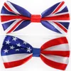 american flag necktie