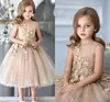 Champagne Tea Length Flower Girls Dresses For Weddings Tulle Appliques A Line Girls Pageant Gowns Zipper Back Customized Kids Party Dress