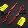 6.0 Polegada Jason Hair Scissors Kits de Corte De Tesoura De Cabeleireiro Profissional Tesoura Diluindo JP440C Tesoura Do Barbeiro, LZS0520