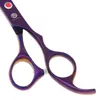 Atacado- 7.0 "JP440C Cabeça curvada Pet Grooming Tesoura Cão Corte Corte Tesoura Cães Profissionais, LZS0598