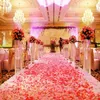 1000 stks / partij mode Atifial Polyester bloemen voor romantische bruiloft decoraties zijde rozenblaadjes patal bruiloft bloemen