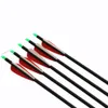 Plastic Vanes Carbon 31'' Arrows with Field Points Replaceable Tips for Recurve Bow and Compound Bow