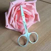 Factory Direct Sale Roestvrijstalen Rechte Snijden Hoofd Bend Shear Scissors Cuts Dreiging Snijlaag Schoonheid Tools