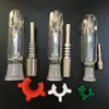 Micro NC Glas Vattenrör med 19mm GR2 Titan Nails Oil Rig Concentrate eller Quartz Tips