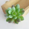 Affascinante Faux Artificiale Piante succulente Emulational Fake Cactus Piante per ufficio Home Decor Desk Tavolo da sposa Mini decorazione floreale