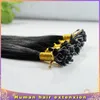 Brazilian virgin hair Straight u tip hair extension #1 Jet Black 100g 100s keratin stick tip human hair