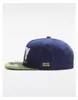 2017 moda yeni cayler oğulları snapback şapka beyzbol kapaklar erkekler için / kadınlar marka kap spor hip hop düz güneş şapka kemikleri gorras ucuz Casquette