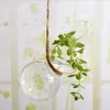 Set di 2 piante di vetro in vetro a forma di zucca in sospeso Terrario di piantatore di contenitori per la casa per la casa1394395