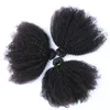 브라질의 Afro Kinky Curly 4 * 4 레이스 앞가림 (머리 묶음 4 개 세트) Lot Afro Curly Virgin Hair (레이스 클로저 포함) 무료 배송