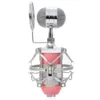 BM8000 Professionell ljudstudio Recording Condenser Wired Microphone 3.5mm Plug Stand Holder Pop Filter för KTV Karaoke