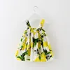 Groothandel- sundress baby meisjes jurk voor kleine prinses meisje eerste verjaardagsfeestje kleding bedrukte zomer tutu jurk pasgeboren babykleding