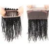 20 inch Brazilian human virgin hair 360 full lace hair product natural blackjet black color 130 denisty lace extensions4136494