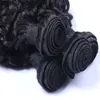 Best Quality Brazilian Hair Human Virgin Hair Weave Mongolian Malaysian Indian Peruvian Jerry Curly Hair Extension Unprocessed Free Shipping