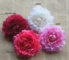 Dia: 13cm / 5.1inch 50st Gratis Frakt Emulational Silk Peony Flower Head För Hem, Trädgård, Bröllop eller Skönhet Hatt eller Klänning Dekoration Holiday