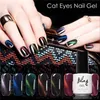 Wholesale- Bling 3D Cat Eyes UV Gel Polish 6ML Soak Off Led UV Gel Nail Polish Magnetic Gel Lacquer Long-lasting 30 Days