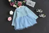 Mädchen herbst winter kleid langarm kinder spitze tutu röcke baby mädchen party prom kleider kinder stricken kleidung ZJ-71