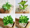 Fashion Hot Simulation succulentes Artificial Flowers Ornements Mini Green Artificial Succulentes Plantes Plantes Jardin Décoration