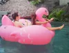 150 * 150 * 120cm Floating Pool Giant Swan Uppblåsbar Simning Madrass Uppblåsbar Ride-on Pool Toy Float Swan Uppblåsbara Swim Ring Raft