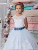 어린 소녀를위한 첫 영성체 복장 2019 허리띠와 레이스를 입은 뒤의 아플리케들 Tulle Light Sky Blue Girls Birthday Dress